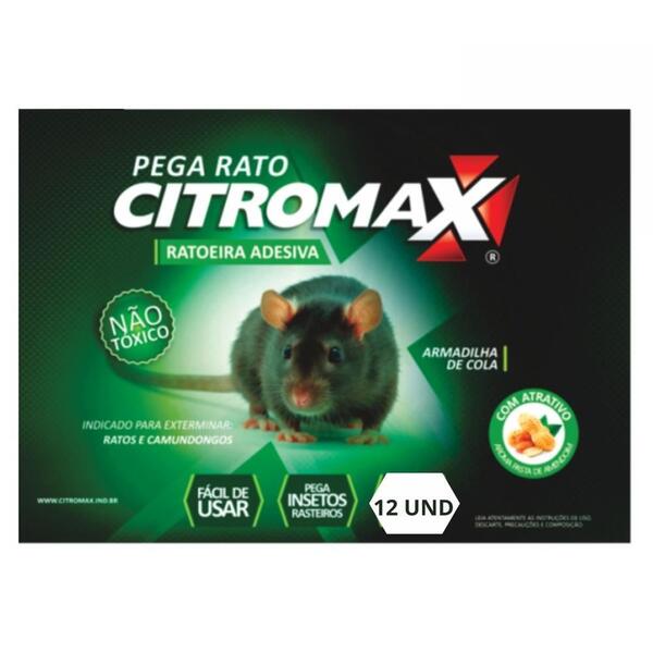 Ratoeira Pega Cola Rato E Camundongo - 12un.