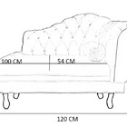 Recamier Larissa Lado Esquerdo 1 20 Cm Veludo Rosê  - Montana