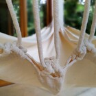 Rede Adorna In Natura