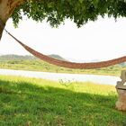 Rede De Dormir Camping Nylon Impermeavel Tarrafa Marrom