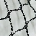 Rede De Proteção Anti Pássaro (malha 2x2) Medida 3x3m