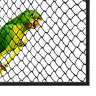 Rede De Proteção Anti Pássaro (malha 2x2) Medida 3x3m