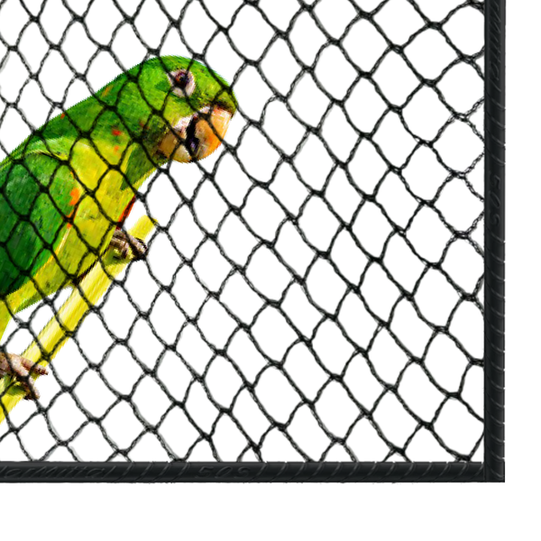 Rede De Proteção Anti Pássaro (malha 2x2) Medida 3x3m