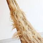 Rede Fibra Carnaúba Pi 350cm