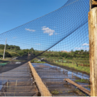 Rede Passarinheiro - Anti Pássaro (pombos E Outros) 3x2,5m