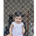 Rede Proteção De Janela Criança Gato Cor Cristal 1,50 X 1,20