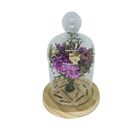 Redoma Árvore Dos Desejos