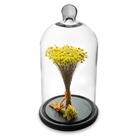 Redoma Com Flores Secas Amarelo Decor Home Cúpula 30cm Bs