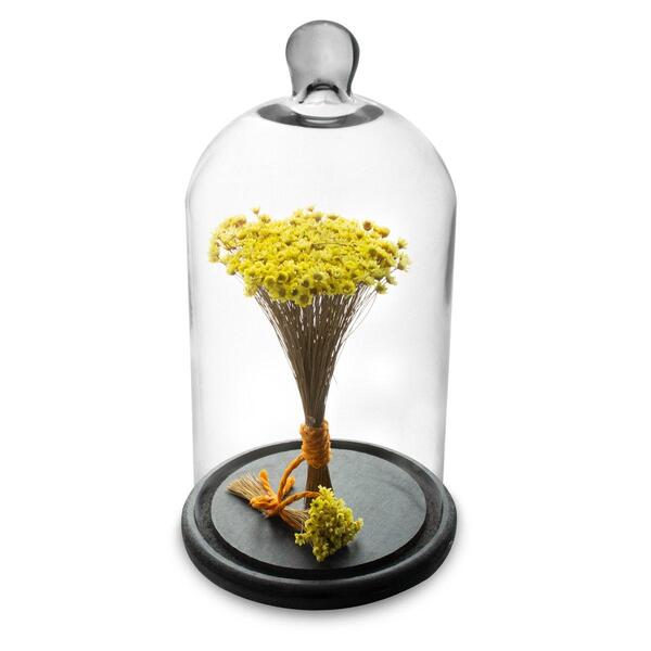 Redoma Com Flores Secas Amarelo Decor Home Cúpula 30cm Bs
