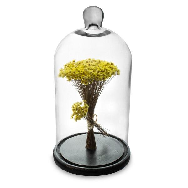 Redoma Com Flores Secas Amarelo Decor Home Cúpula 30cm Ht