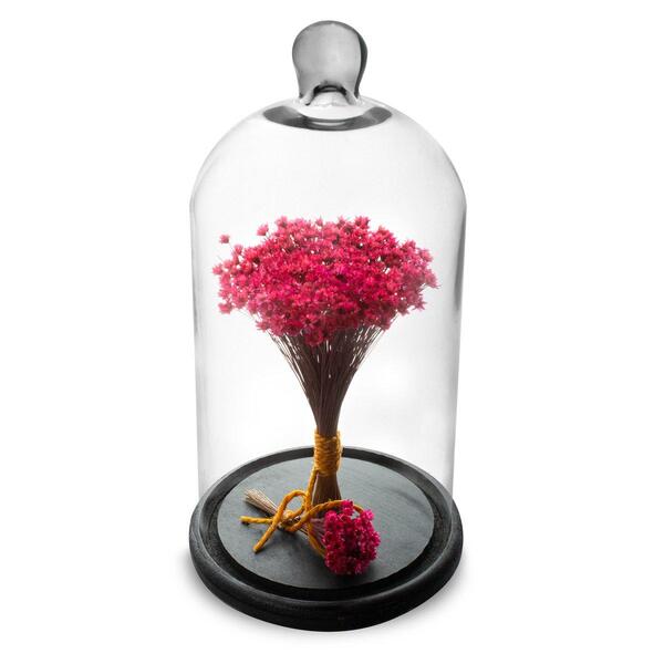 Redoma Com Flores Secas Vermelho Decor Home Cúpula 30cm Bs