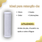Refil Filtro Carvão Ativado 20 Polegadas X 2 1/2, 2 Peças Azul