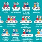 Refil Filtro Facile C5 Com Elevação De Ph Hidrofiltros