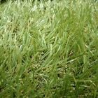 Refil Grama Sintética Sanitário Animal