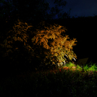 Refletor Solar 600LM RGB/Branco Inspire