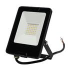 Refletor Taschibra Tr Led Profissional 30w 6500k Preto Bivolt