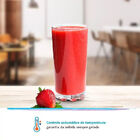 Refresqueira Ibbl Bbs2 Inox – 220 Volts