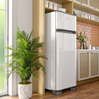 Refrigerador Esmaltec Rcd34 Pro 276l 2 Portas