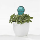 Regador Para Vaso I-drop Laranja 70ml 0640