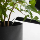 Regador Plástico Resistente Minimalista Preto - 300ml