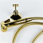 Registro com Ducha Higiênica Vintage Retrô Dourado Ouro 60140