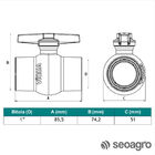Registro De Esfera Roscável 1 Irriga Viqua