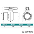 Registro De Esfera Roscável 4 Irriga Viqua