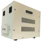 Regulador De Tensão 220v Monofásico - Nevt