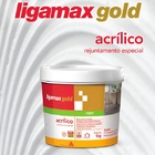 Rejunte Acrilico Ligamax Gold (ab) Cinza 1 Kg - Sika