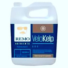 Remo Roots Gel Para Enraizamento De Estacas/clones - 7 G