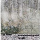 Removedor De Algas E Fungos Power Mármores Granitos Akemi 1,0