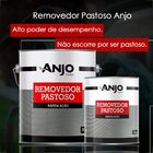 Removedor Pastoso 1kg Anjo