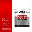 Removedor Pastoso 1kg Anjo