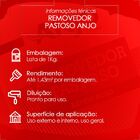 Removedor Pastoso 1kg Anjo