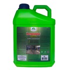 Removedor Plus Superconcentrado Maxbio 5l