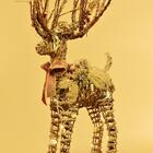 Rena Natural Decorativa Vazada 30l 3aa 42cm Enfeite De Natal