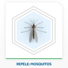 Repelente Elétrico Líquido Raid