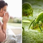 Repelente Eletronico Ultrassonico Anti Acaro Traças Aracnideo