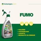 Repelente Fumo Insetimax 500ml