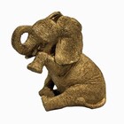 Resina Dourada - Elefante Veludo Lágrima P