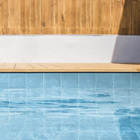 REV PISC BABY AZ 20X20 ARTENS