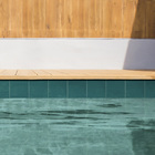 REV PISC MINT VD 20X20 ARTENS