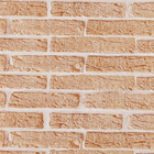 Reves Ades 045x6m Tijolo Mr