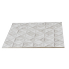 Revestimento de Parede Acetinado Borda Reta 61042 61x61cm Cristofoletti