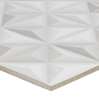 Revestimento de Parede Acetinado Borda Reta 61042 61x61cm Cristofoletti