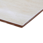 Revestimento de Parede Borda Arredondada  Brilhante Elegance Bege 32x57cm Artens