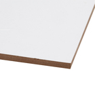 Revestimento de Parede Brilhante Borda Reta Isabela Plus 31x56cm Artens