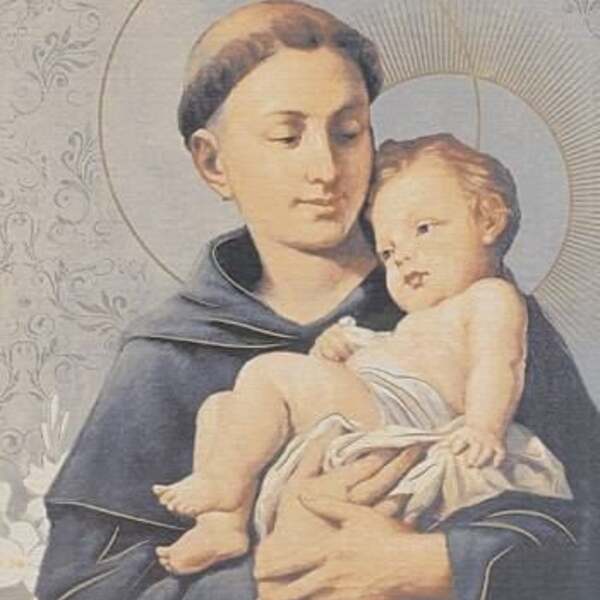 Revestimento De Parede Cejatel 31x59cm Santo Antônio