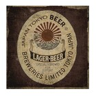 Revestimento Decorativo Cerâmica Beer/00 20,6X20,6cm Gabriella