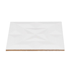 Revestimento Decorativo Star Branco G20/601 20x20cm Artens